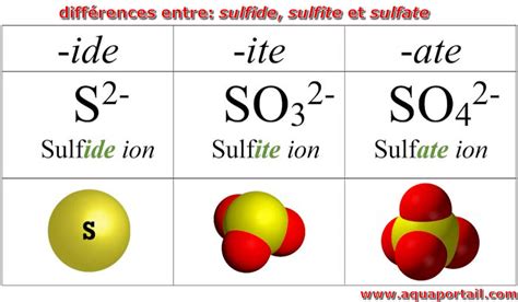 sufiti|sufiti in English